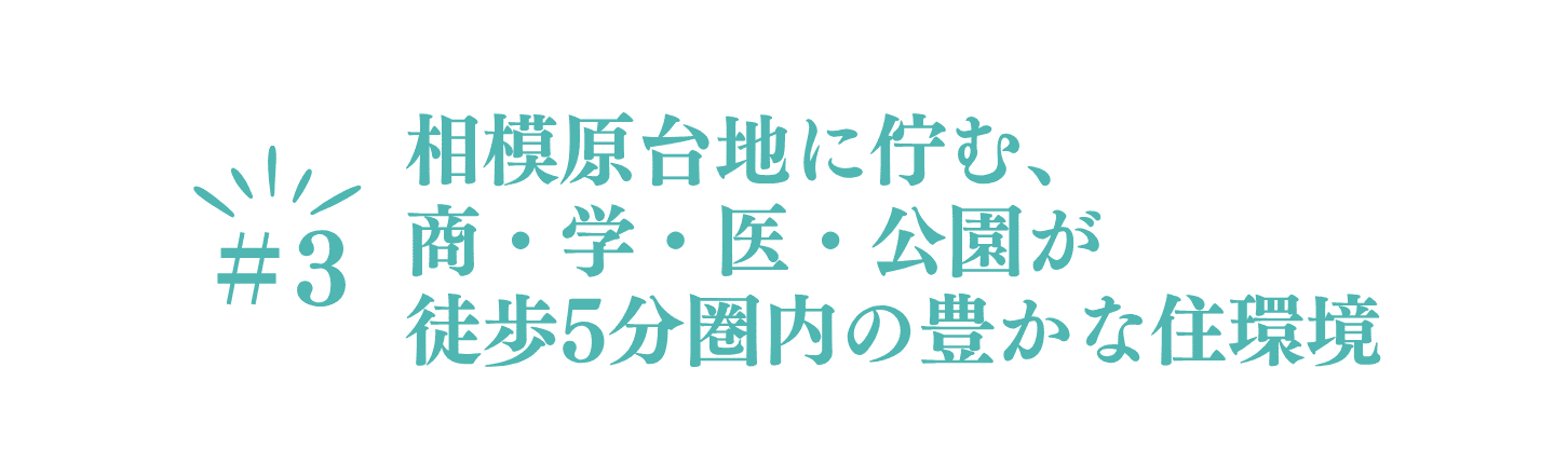 ポイント③　相模原台地に佇む商・学・医・公園が徒歩5分圏内の豊かな住環境